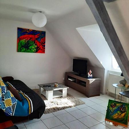 Appartement Spacieux A Ingersheim Avec Vue Sur Jardin 100 M² Dış mekan fotoğraf