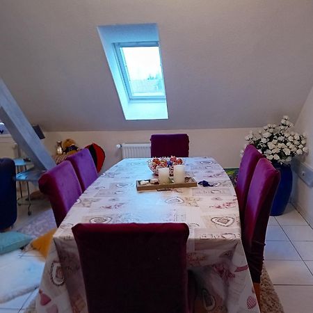 Appartement Spacieux A Ingersheim Avec Vue Sur Jardin 100 M² Dış mekan fotoğraf