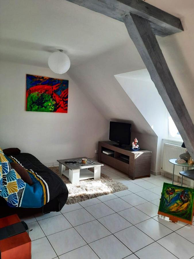 Appartement Spacieux A Ingersheim Avec Vue Sur Jardin 100 M² Dış mekan fotoğraf