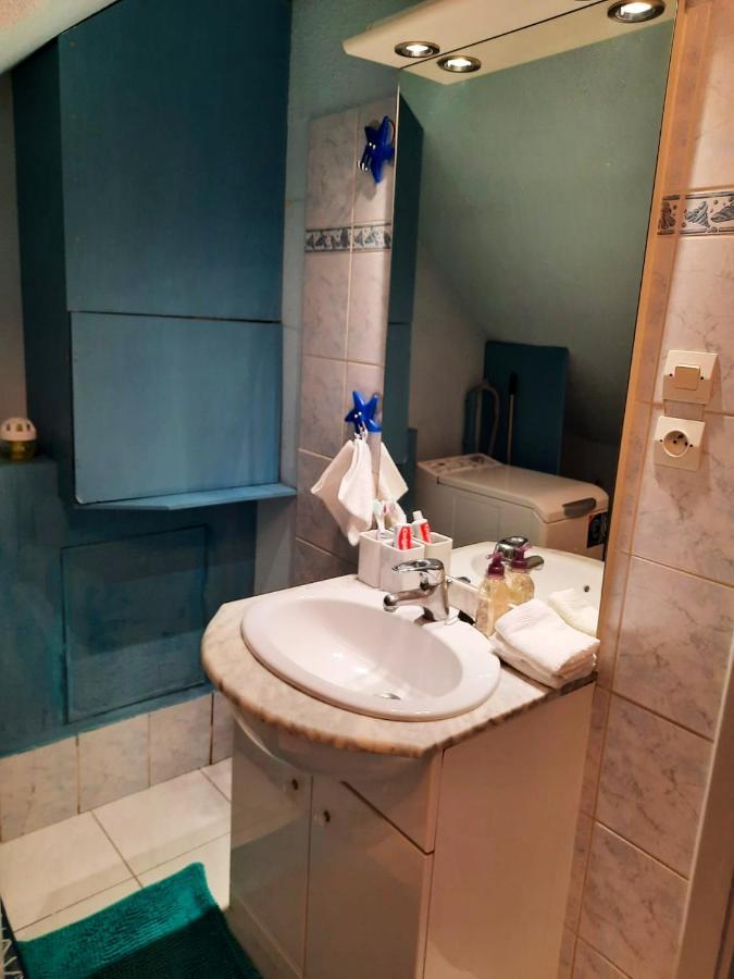 Appartement Spacieux A Ingersheim Avec Vue Sur Jardin 100 M² Dış mekan fotoğraf