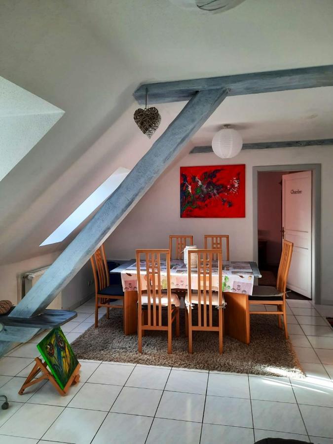 Appartement Spacieux A Ingersheim Avec Vue Sur Jardin 100 M² Dış mekan fotoğraf