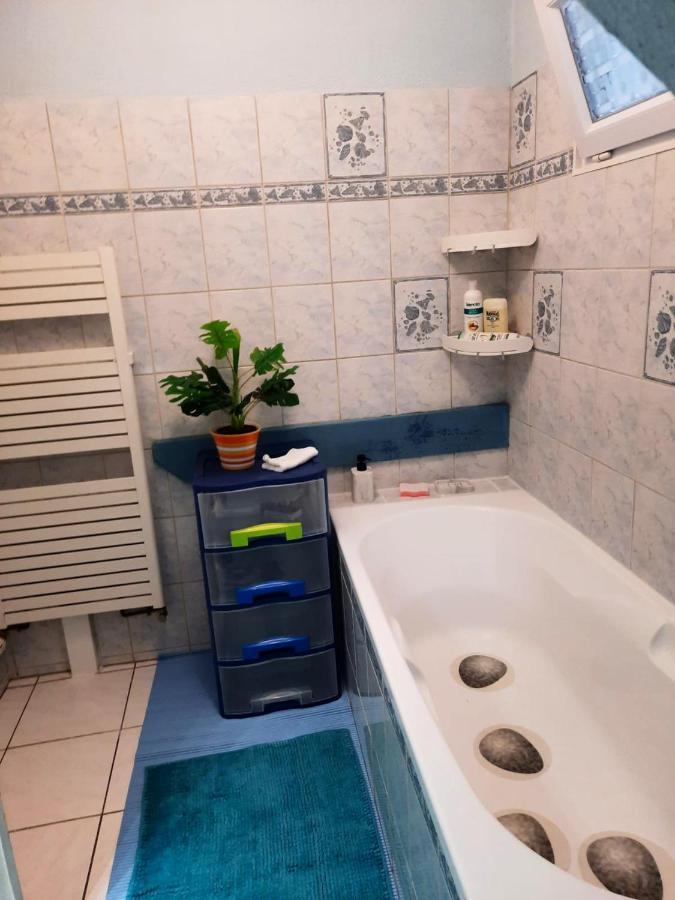 Appartement Spacieux A Ingersheim Avec Vue Sur Jardin 100 M² Dış mekan fotoğraf