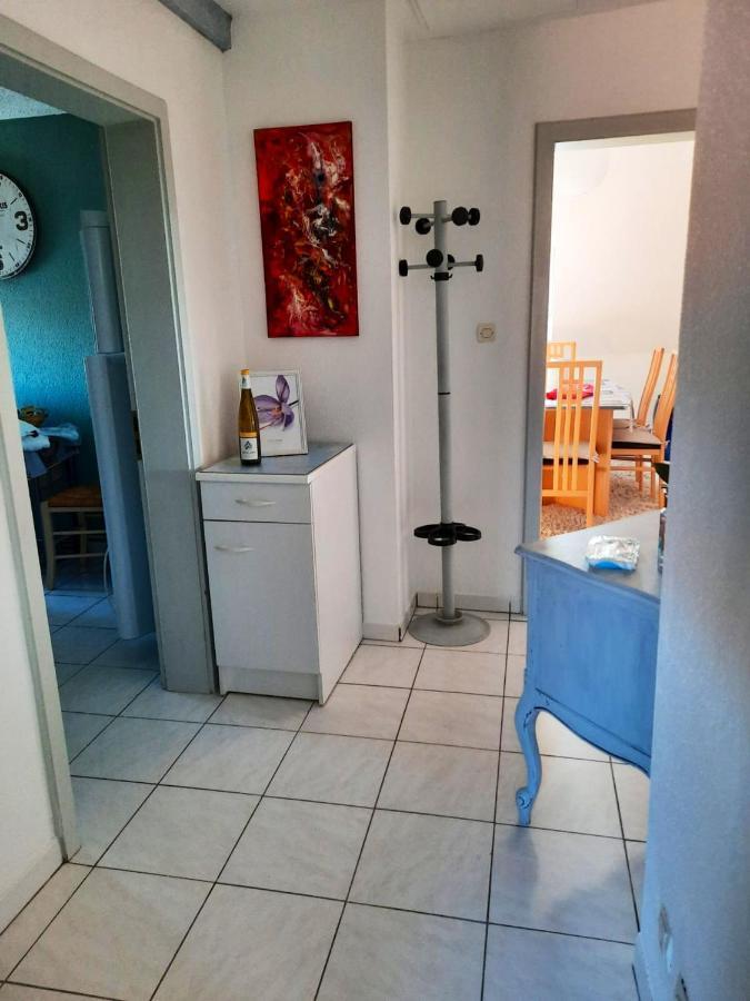 Appartement Spacieux A Ingersheim Avec Vue Sur Jardin 100 M² Dış mekan fotoğraf
